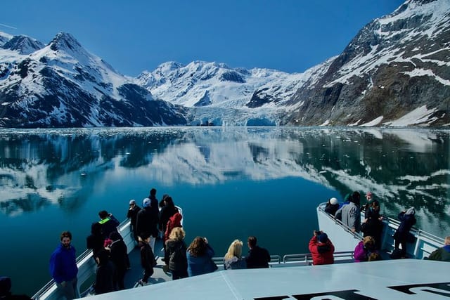 26 Glacier Cruise, See Glaciers and Wildlife in Prince William Sound